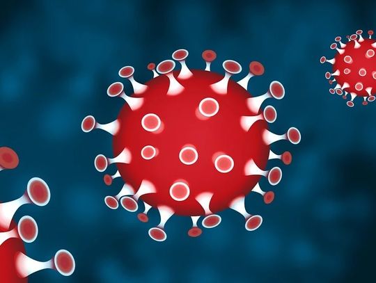 10 nowych przypadków zakażenia koronawirusem. Wśród nich osoba z Chełma i powiatu krasnostawskiego