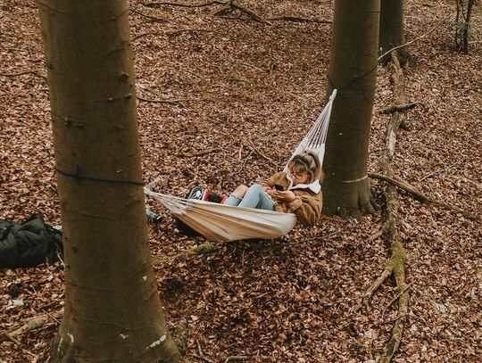1000 hektarów na nocowanie w lesie