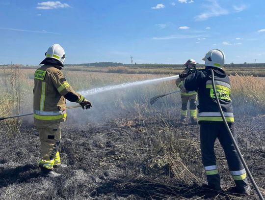 Dwa pożary w powiecie krasnostawskim. Ogień strawił 3 hektary pola i kombajn