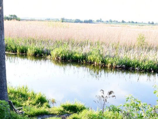 69-latek utonął w rzece. Śledczy wyjaśniają okoliczności tragedii