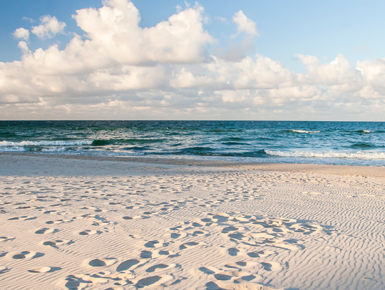 Apartamenty nad morzem – komfortowy wynajem w Jastrzębiej Górze