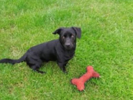 Bąbel bez nawiązki