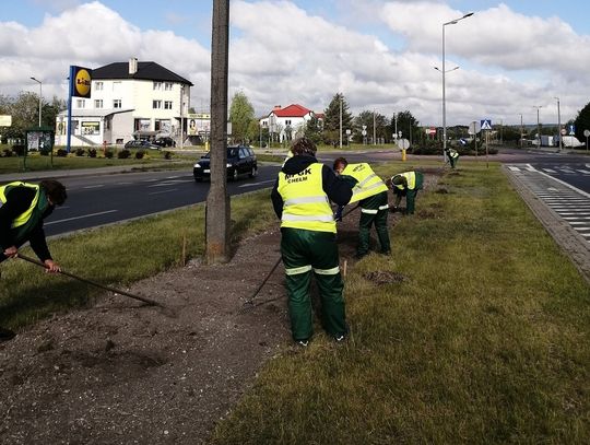 Będą łąki kwietne i parki kieszonkowe