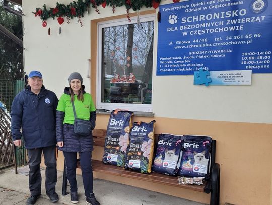 Chełm. Bezdomne zwierzęta pod skrzydłami Fundacji Cemex