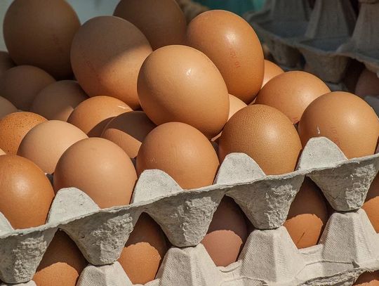 Biedronka wycofała część jaj ze sprzedaży. Klienci mogą odzyskać pieniądze za ich zakup