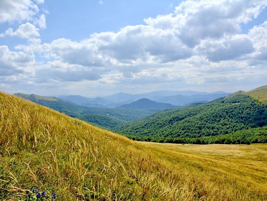 Bieszczady bliżej Chełma