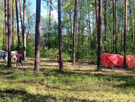 Tragedia podczas jazdy konnej. Nie żyje 14-latka