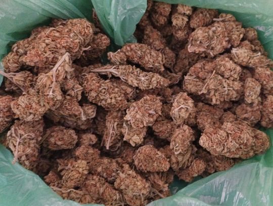 Blisko 700 porcji narkotyków. 21-latek trafił do aresztu