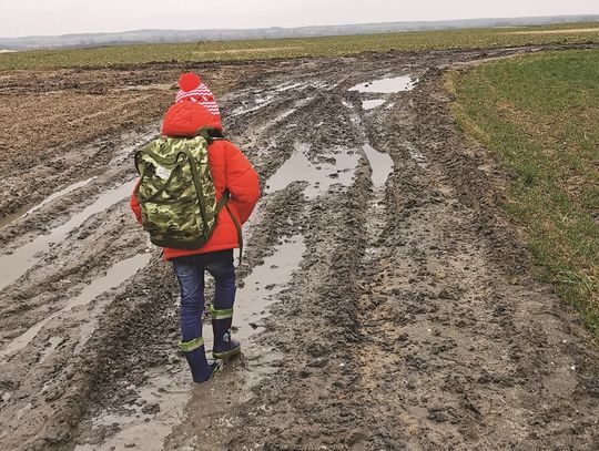 Błotne życie w Tereninie