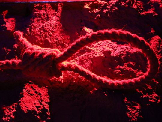 Chełm: 26-latek powiesił się w lesie