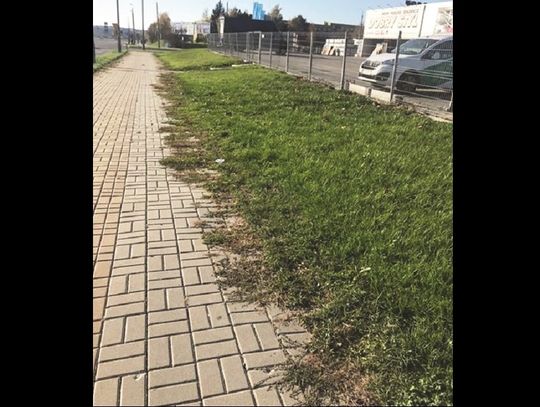 Chełm: A ścieżka coraz węższa...