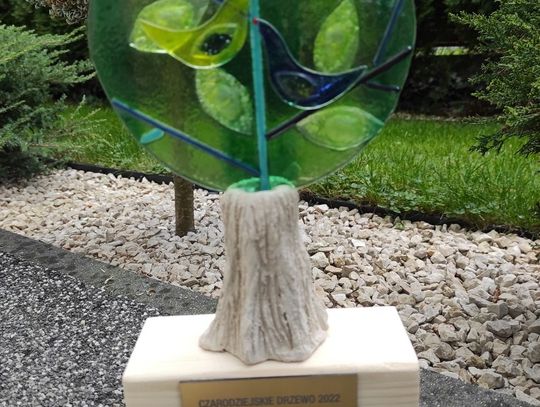 Chełm: Akcja Stowarzyszenia WeRwA "DrzewoDzielnia" nagrodzona!