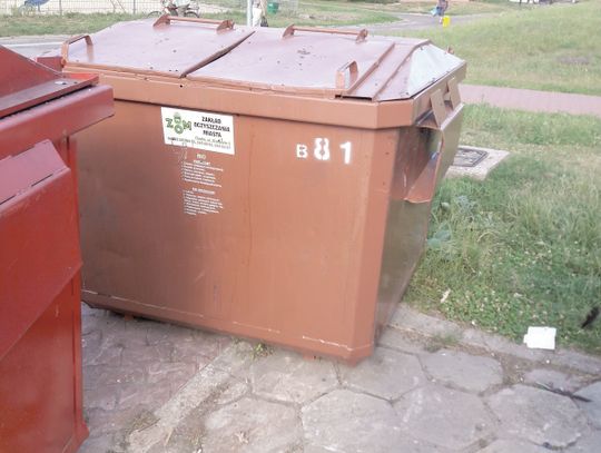 Chełm: Boją się plagi szczurów