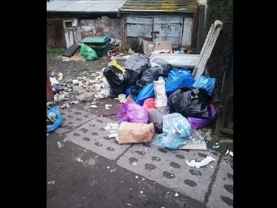 Chełm: Brud w centrum!