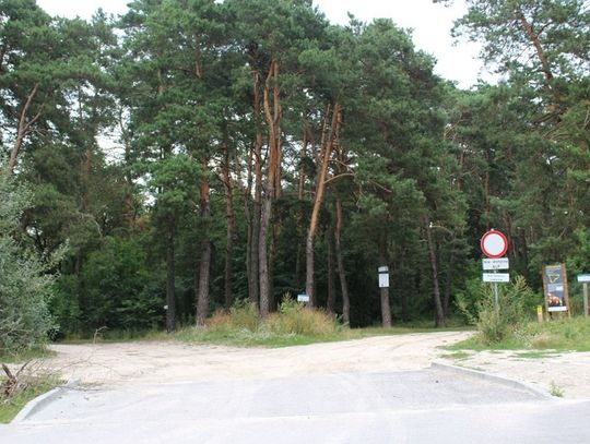 Chełm: Budowa wiaty i zabiegi hodowlane - trwają prace w lesie Borek.