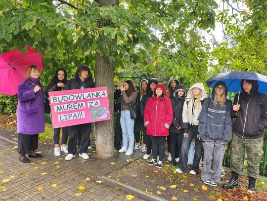 Chełm. Budowlanka murem za lipą! Uczniowie protestowali w piątek przed drzewem