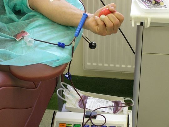 Chełm: Do sądu za skok na bank krwi