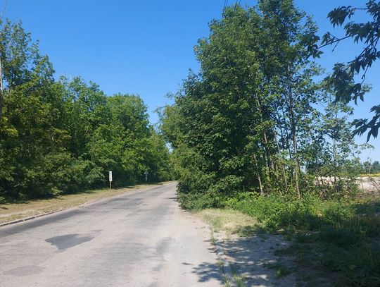 Chełm: Przy Fabrycznej krzewy rosną na ulicy, a samochody jeżdżą chodnikiem