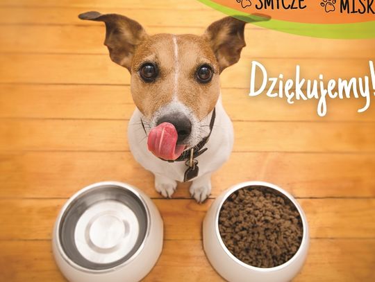 Chełm: Gama pomaga zwierzakom