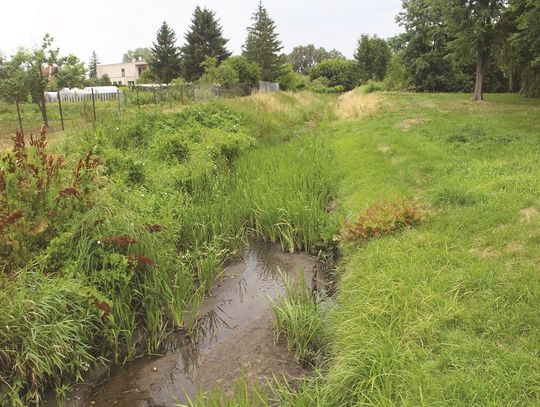 Chełm: Gdzie podziała się Uherka?