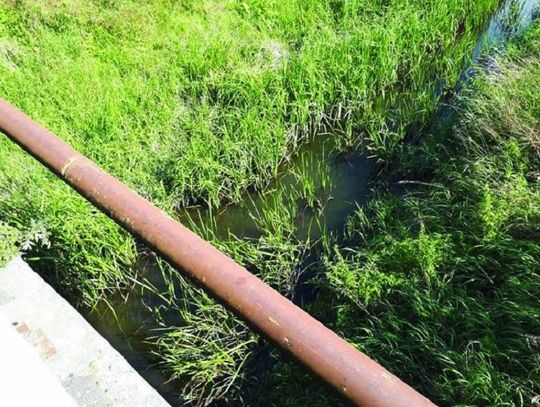 Chełm: Gdzie się podziała Uherka? 