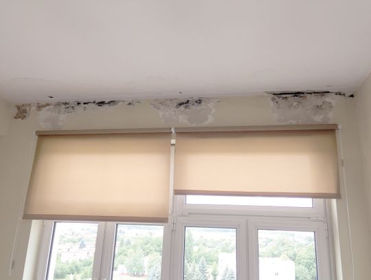 Chełm: Grzyb w szpitalu