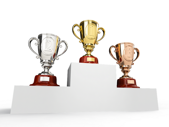 Chełm: Kolejne sukcesy naszych chełmskich uczniów!