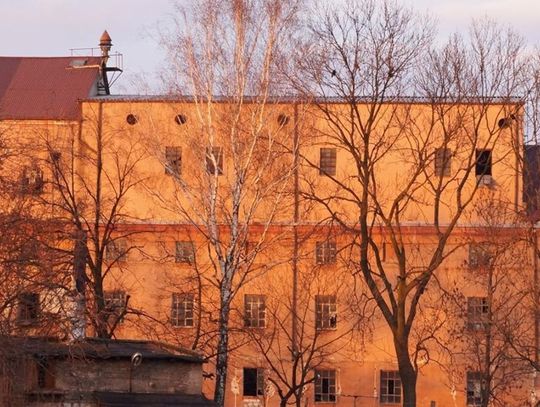 Chełm. KRWAWY SKOK NA MŁYN MICHALENKI