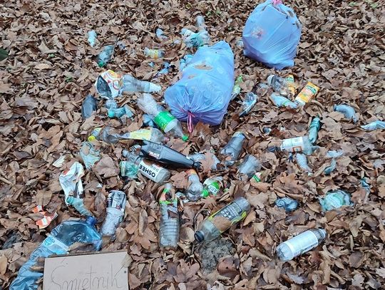 Chełm: Śmietniska w Borku to zmora leśników...