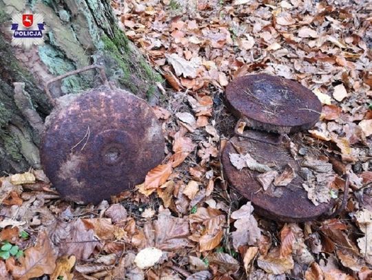 Chełm: Leśnik natrafił na miny
