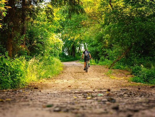 Chełm. Łobuzom i wandalom mówią stanowcze nie!