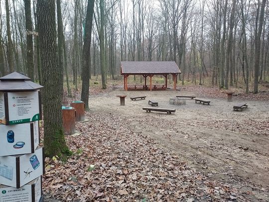 Chełm: Można już korzystać z nowej wiaty w lesie Borek