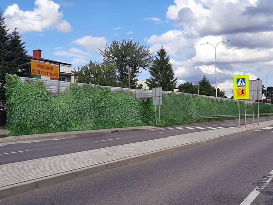 Chełm. Na Rejowieckiej się zazieleni. Co na to mieszkańcy?