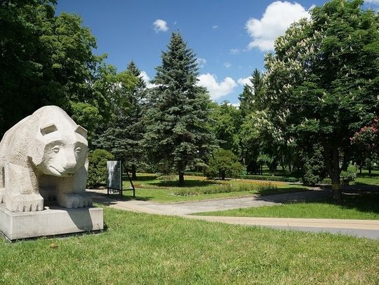 Chełm: Nie brak chętnych na przebudowę Parku Miejskiego
