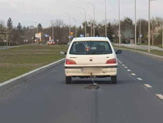 Chełm: Nie wiedział, że ciągnie psa za autem