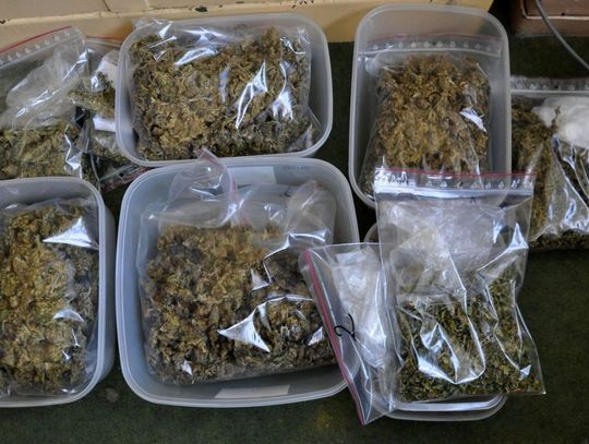 Chełm: Odurzające ciasteczka [VIDEO]