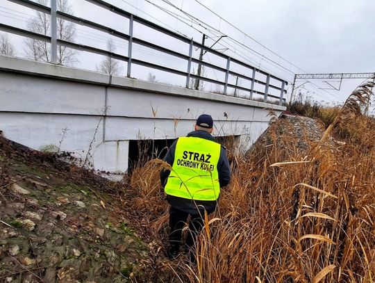Dwóch mieszkańców Chełma zostało ujętych 12 grudnia przez funkcjonariuszy Straży Ochrony Kolei podczas opalania kabli przy torowisku.