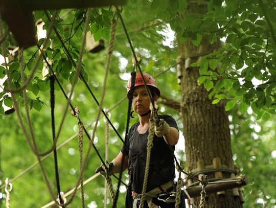 Chełm: Park linowy wystartował