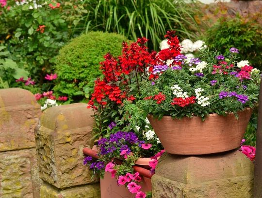 Chełm. Pokaż swój ogród, a powiem ci, kim jesteś...