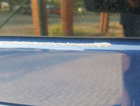 Chełm: Posypało "śniegiem" na Fabrycznej