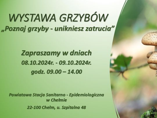 Chełm. "Poznaj grzyby – uniknij zatrucia"