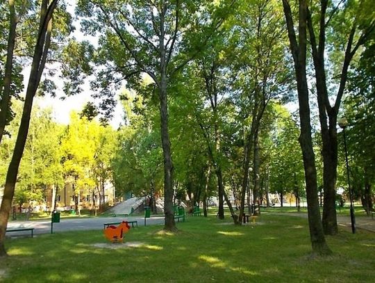 Chełm: Są wyniki głosowania na projekty do Budżetu Obywatelskiego 2023