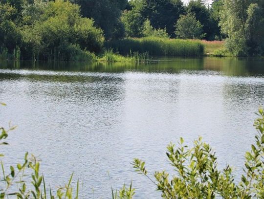 Chełm: Spotkanie konsultacyjne ws. zagospodarowania Glinianek