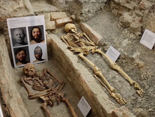 Chełm sprzed 700 lat ma dziś twarz. Niezwykłe rekonstrukcje w podziemiach bazyliki [ZDJĘCIA]