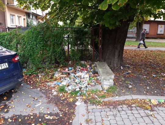 Chełm: Straż miejska kontroluje czystość na posesjach [ZDJĘCIA]