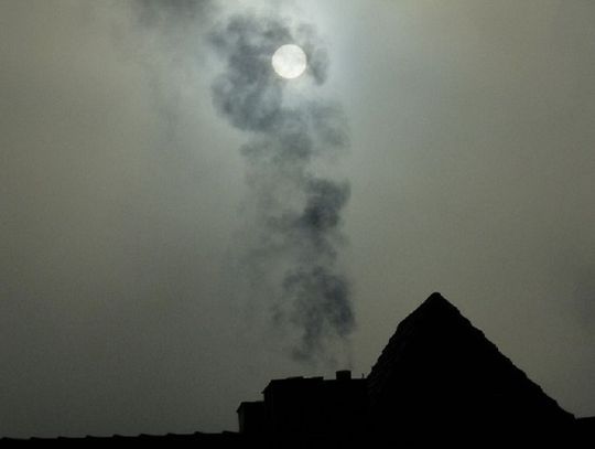 Chełm: Straż Miejska rozpoczęła kontrole powietrza. Sprawdzi, co wrzucasz do pieca