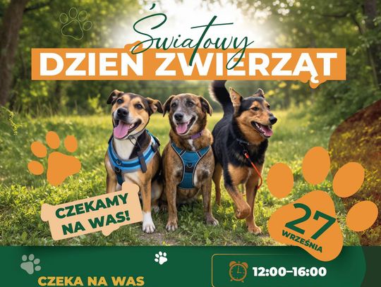 Światowy Dzień Zwierząt odbędzie się 27 września w godzinach 12:00–16:00 w Parku Miejskim im. Unii Europejskiej przy al. Armii Krajowej w Chełmie.