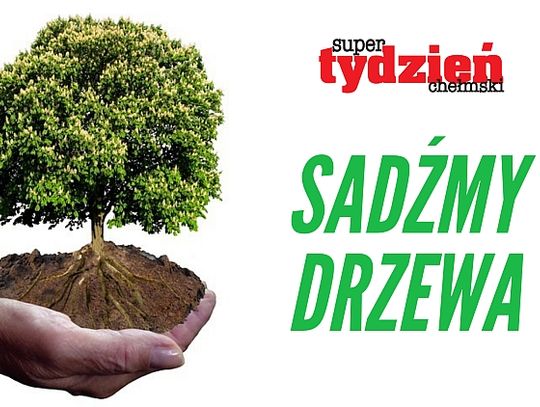 Chełm: Świętujemy Światowy Dzień Drzew