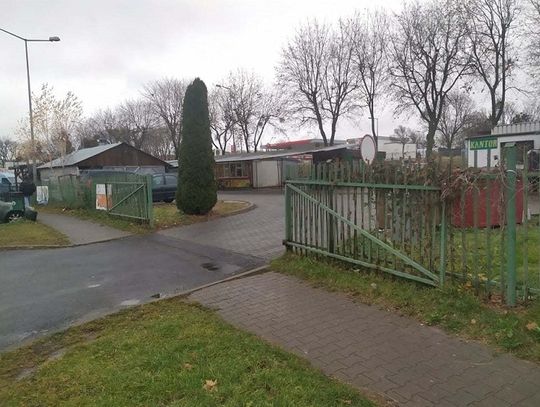 Chełm: Szczęki wkrótce tylko u Spielberga!