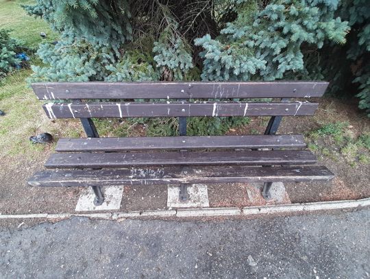 Chełm. Mieszkańcy się skarżą na brud przed gmachem. Dookoła kupy gołębi...